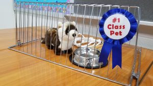 Classroom Simulator Escape Room