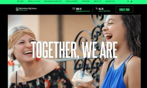 Big Brothers Big Sisters of Danville Area Website